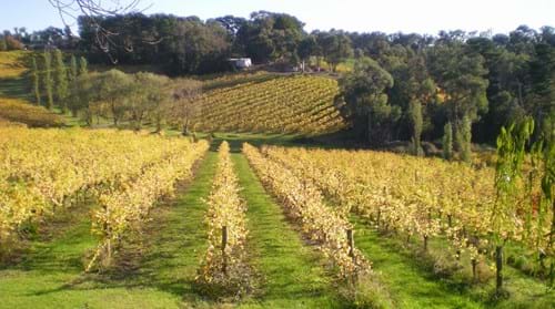 Kellybrook Winery Yarra Valley