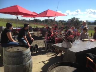 Yarra Valley Winery Tours - Mike's Wine Tours